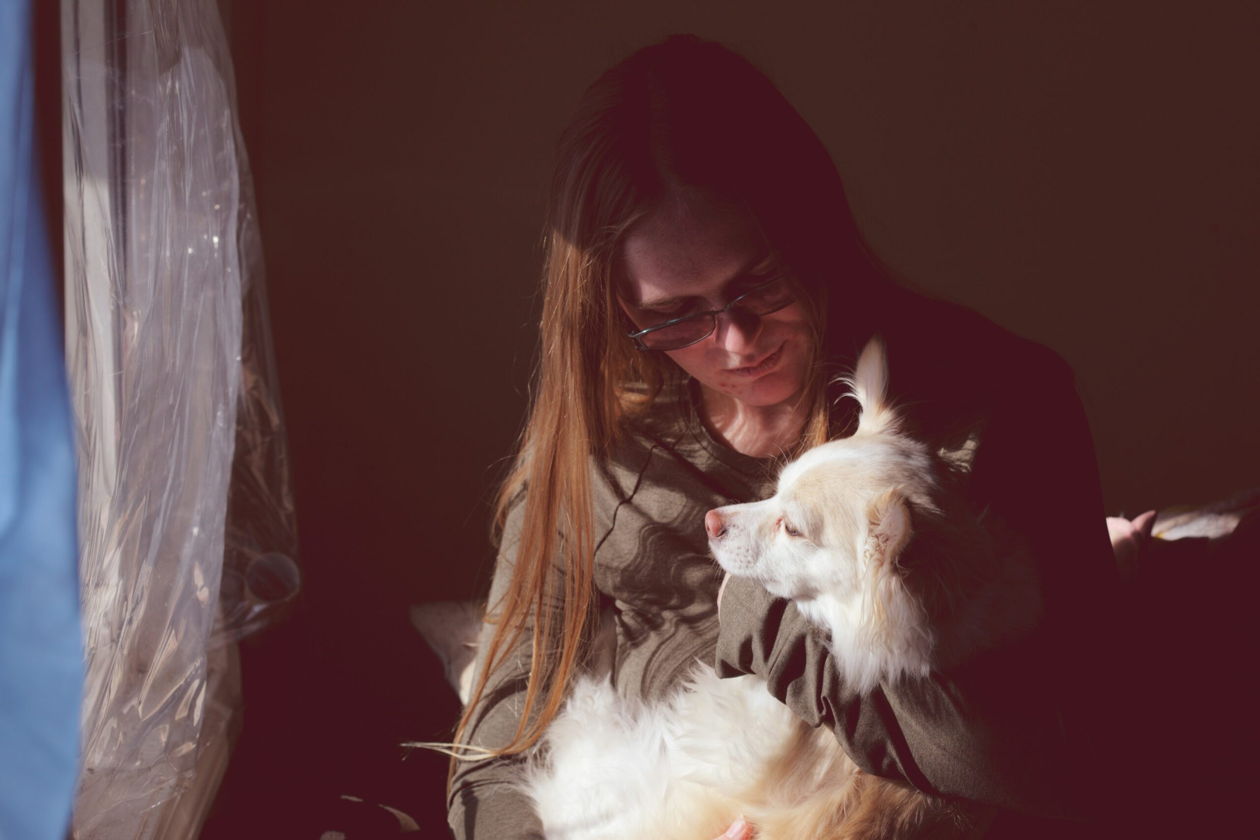 Pawify: La mejor plataforma de adopción de mascotas
