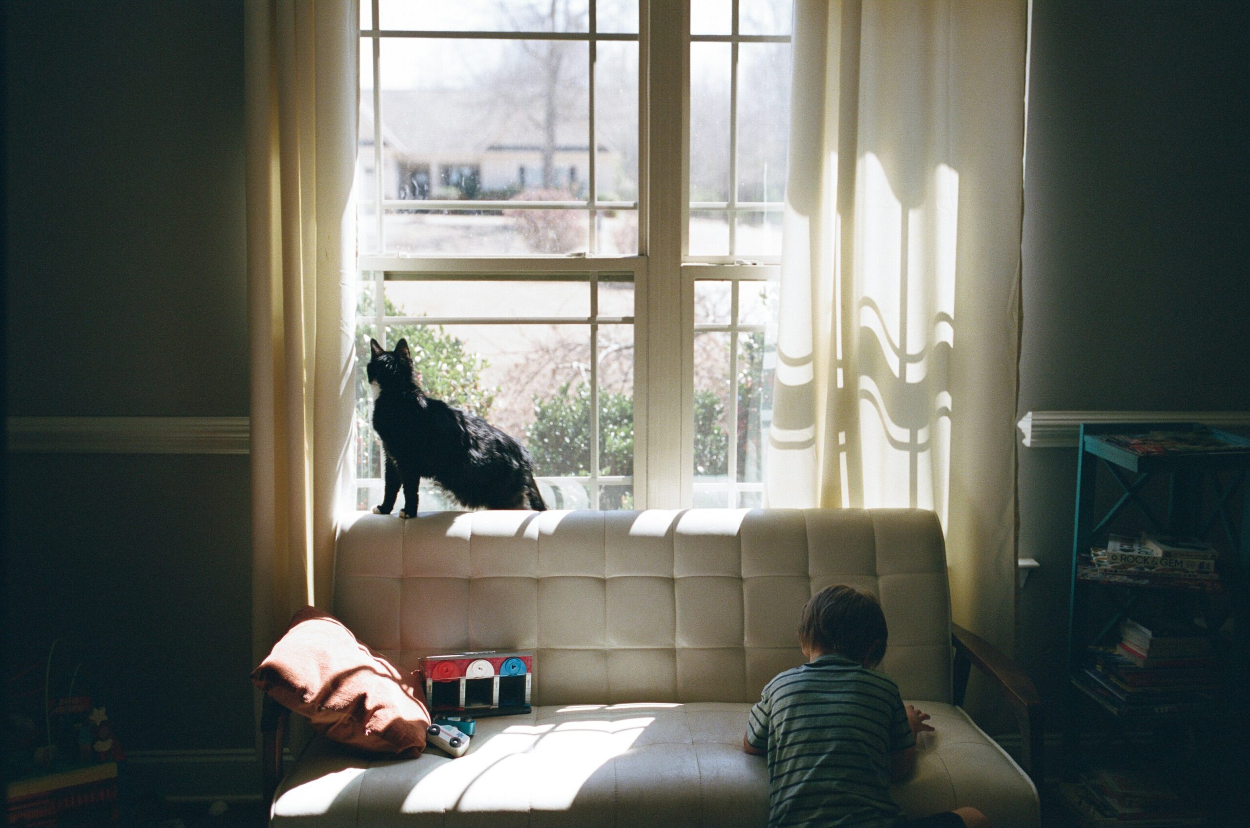 Educar niños sobre adopción de mascotas: niño con gato negro en casa