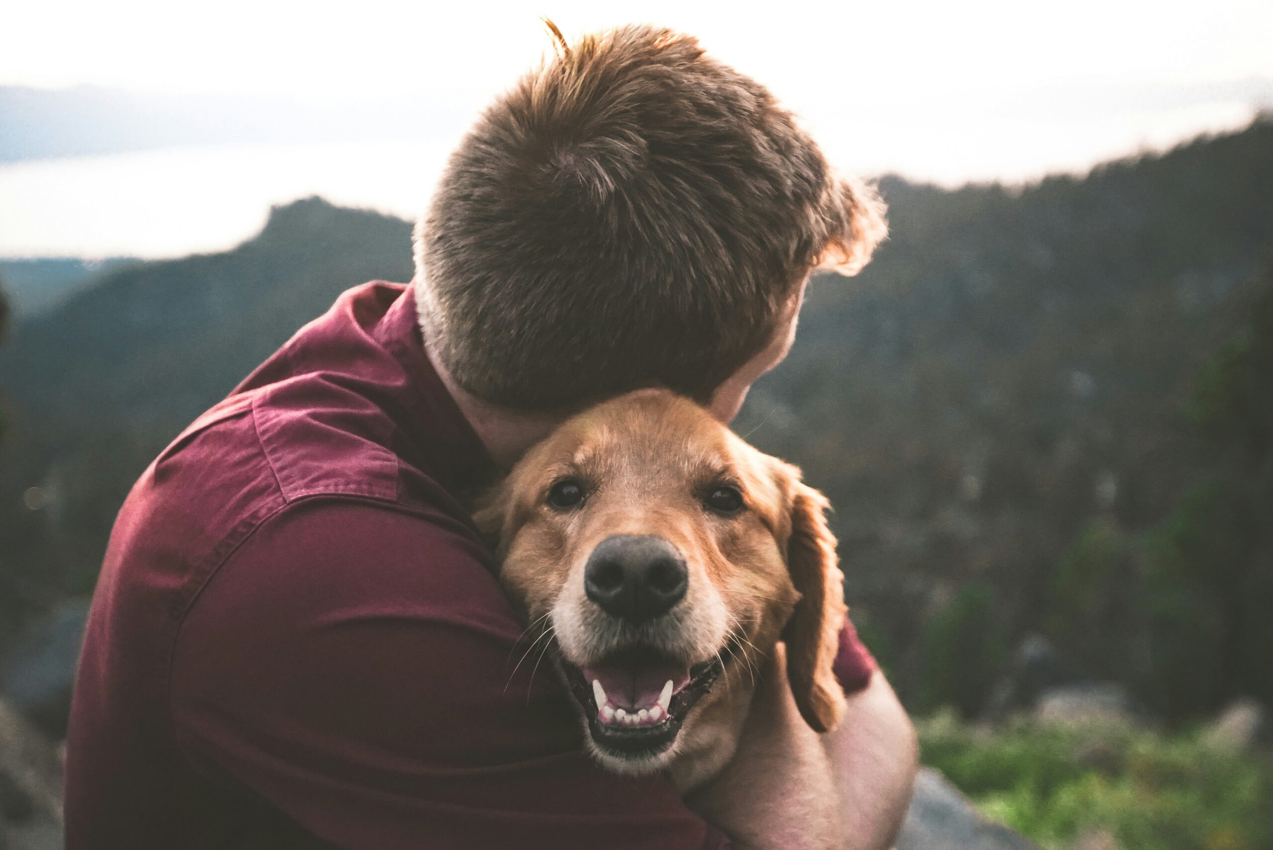 Chico joven abrazando a un perro adoptado, mostrando amor y compromiso