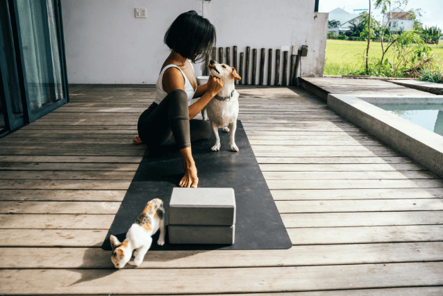 Perro disfrutando del primer verano tras ser adoptado