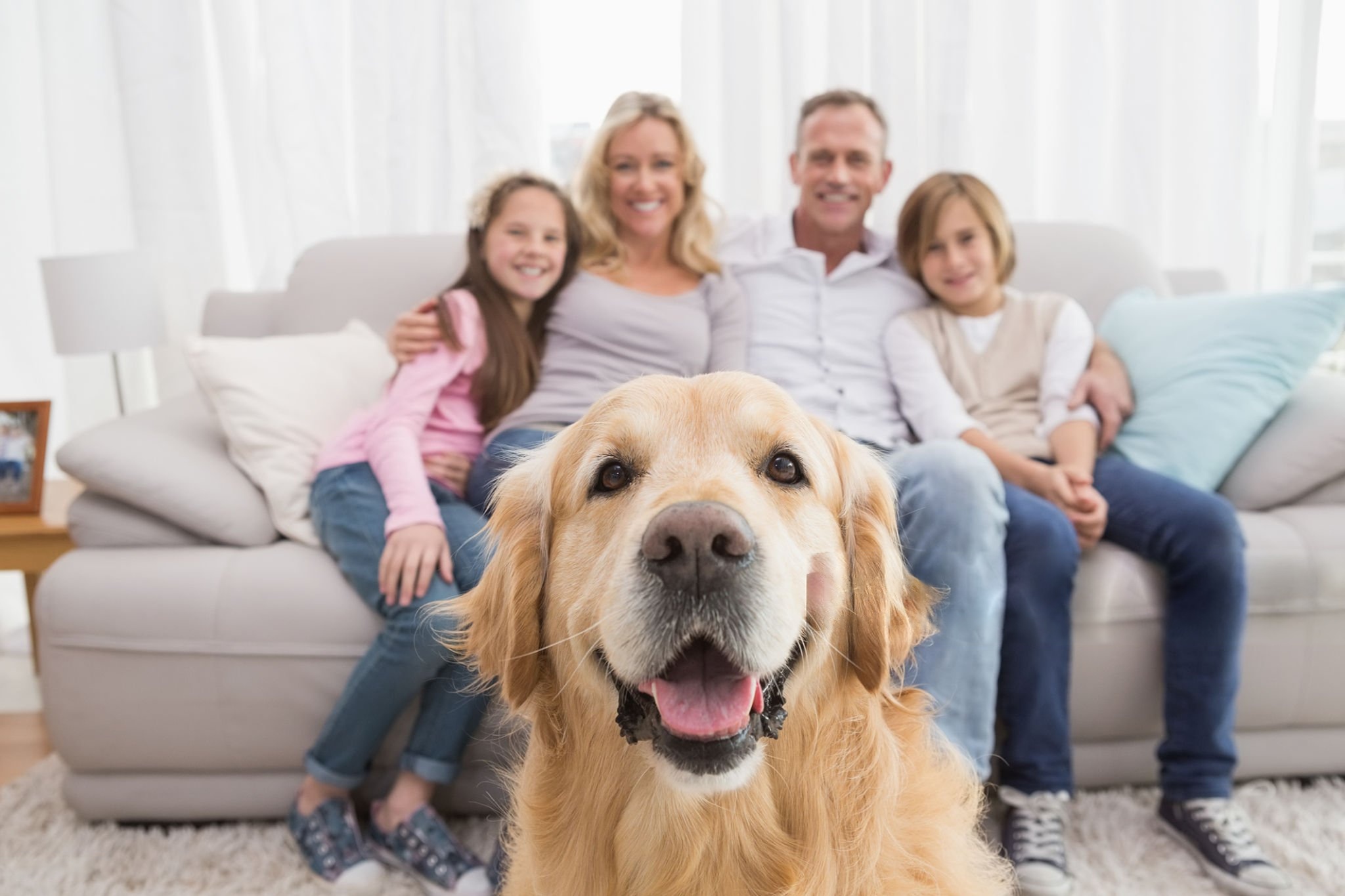 Perro y su familia posando Cuánto cuesta adoptar una mascota