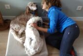 Lola & Boro