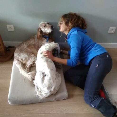 Lola & Boro