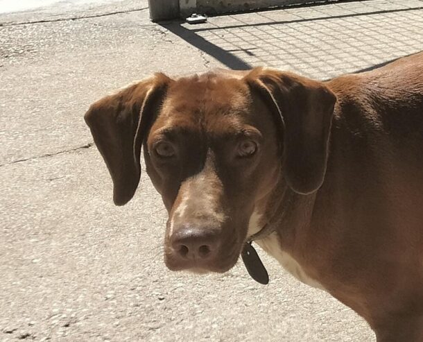 Frida
